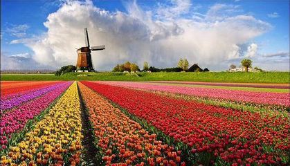 農業(yè)品牌策劃 農業(yè)品牌策劃