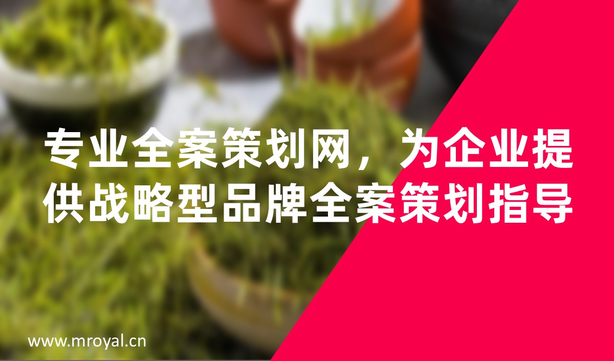 專業(yè)全案策劃網(wǎng)，為企業(yè)提供戰(zhàn)略型品牌全案策劃指導(dǎo)